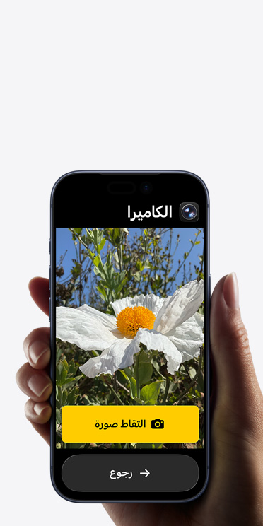 شاشة iPhone 17 Pro تعرض واجهة مبسطة لتطبيق الكاميرا مع زهرة بيضاء في الإطار، وزر
