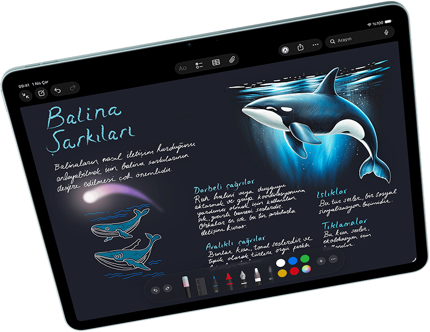 Ekranında Apple Intelligence özellikli Image Playground ve Keynote uygulamalarının gösterildiği yatay pozisyondaki iPad Air ve Apple Pencil Pro