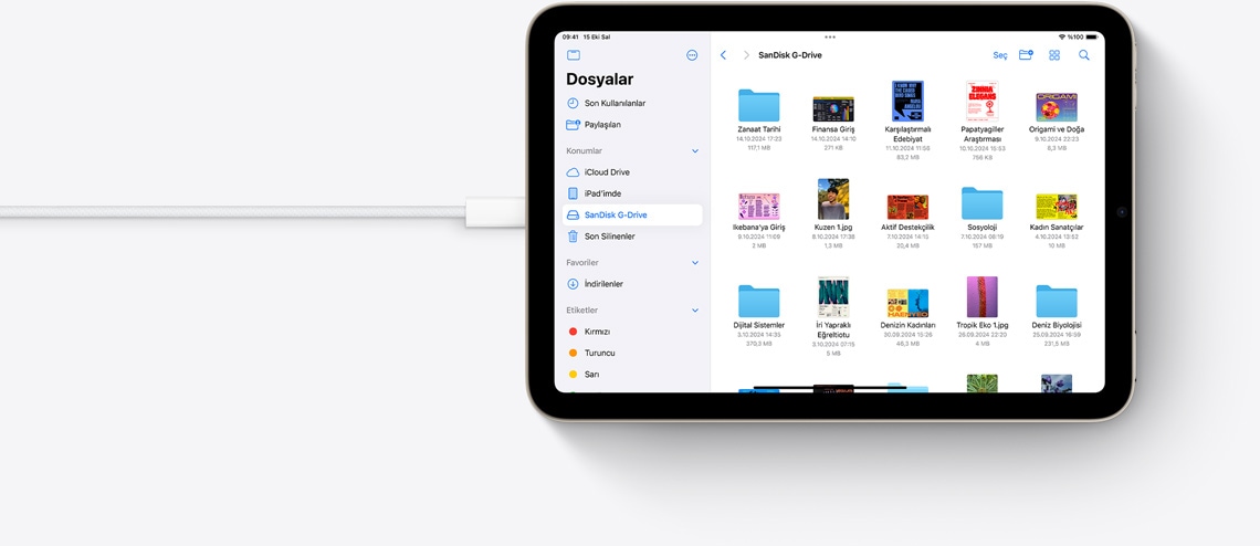 USB-C kablosu bağlı olan yatay pozisyondaki iPad mini’de Dosyalar uygulaması görülüyor.
