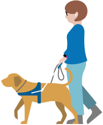 一位低視能人士佩戴 AirPods，牽著導盲犬走著