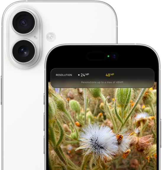 iPhone 17, rear exterior, rounded corners, Dual Fusion Camera System in top left corner, white color, front exterior, Dynamic Island, rounded corners