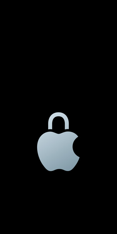 Silver Apple logo with padlock loop replacing leaf on top of logo
