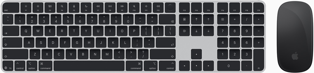 Tampilan atas Magic Keyboard dan Magic Mouse